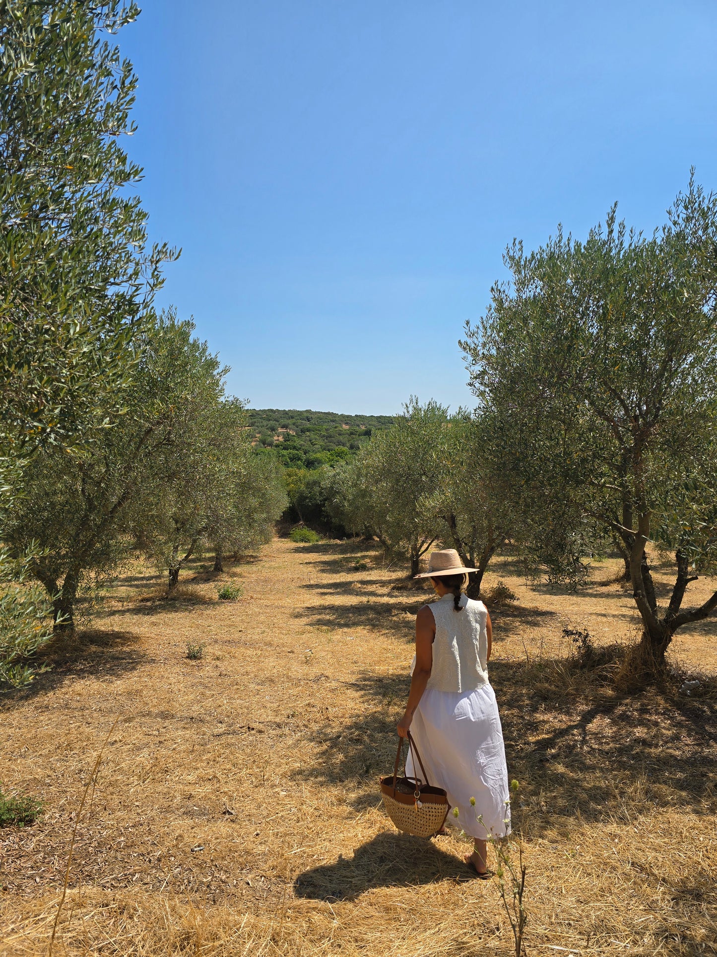 Weißes Sommer-Midikleid im Olivenhain, perfekt für sonnige Tage im Freien.