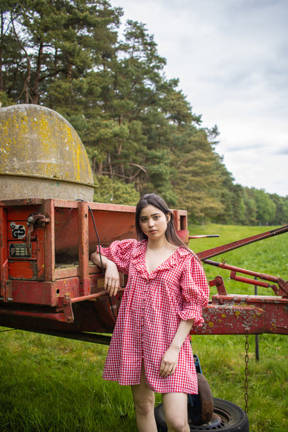 Red Vichy Check Mini Dress